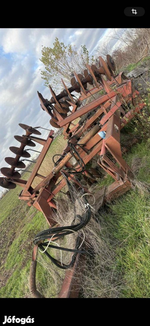 IH  6.2 tárcsa eladó