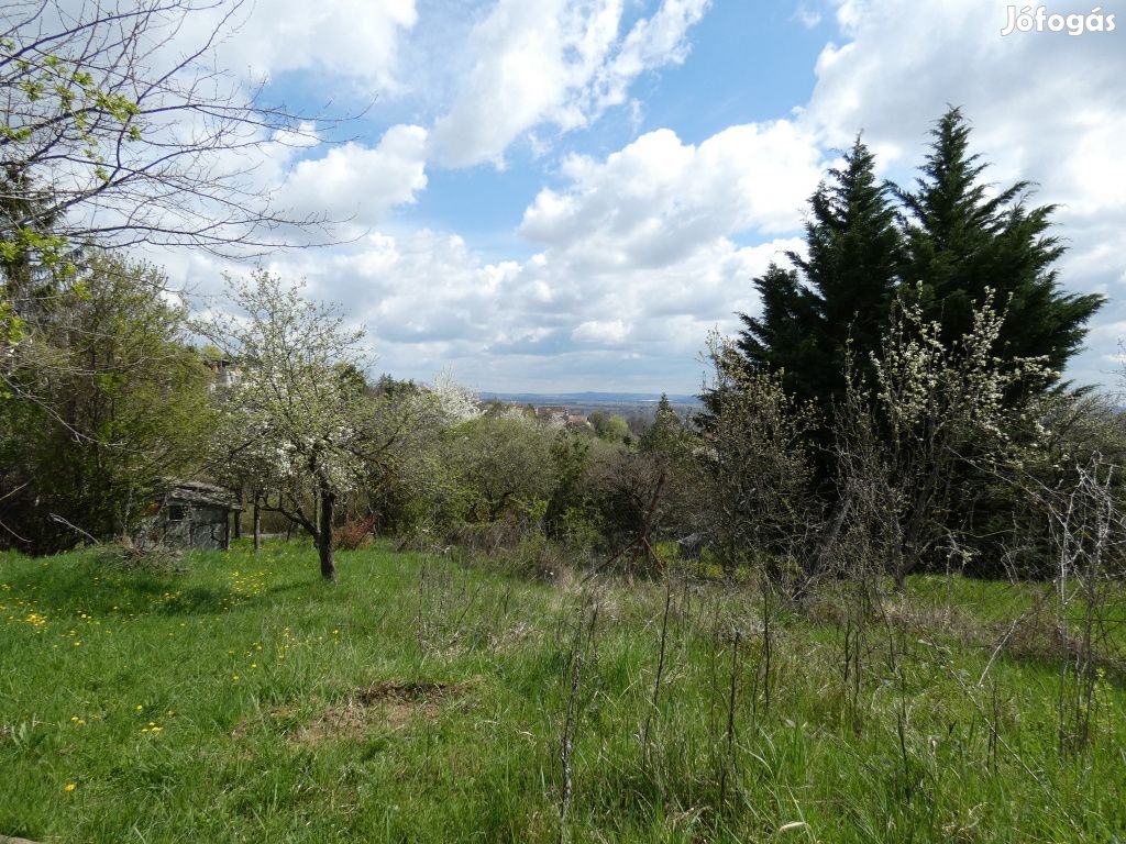 III. Kerület, Árok utca, 1110 m2-es, telek