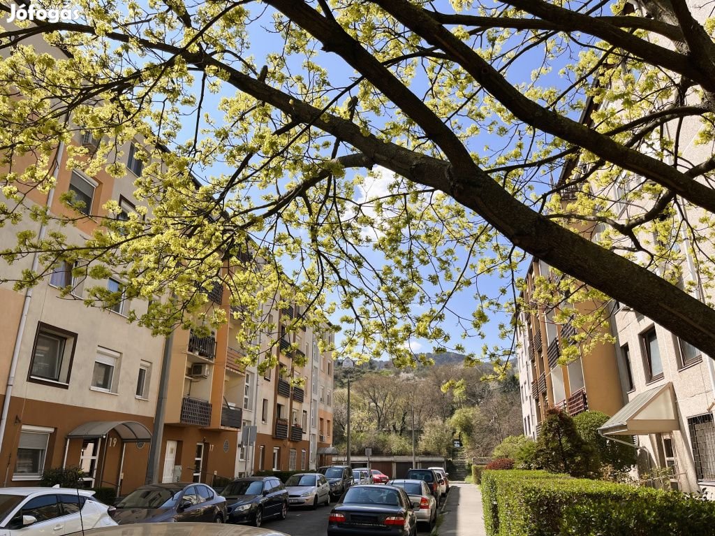 III. Kerület, Gyógyszergyár utca, 63 m2-es, üzlethelyiség utcai