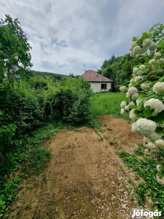 II. kerület, Gyöngyvér utca, 913 m2-es, telek