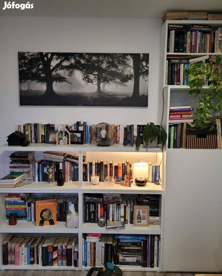 IKEA Besta polc