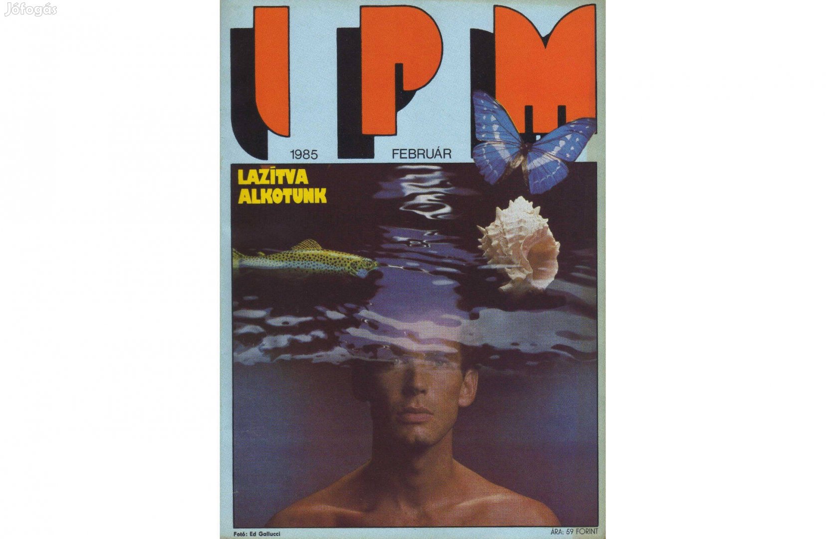 IPM 1985.02 újság