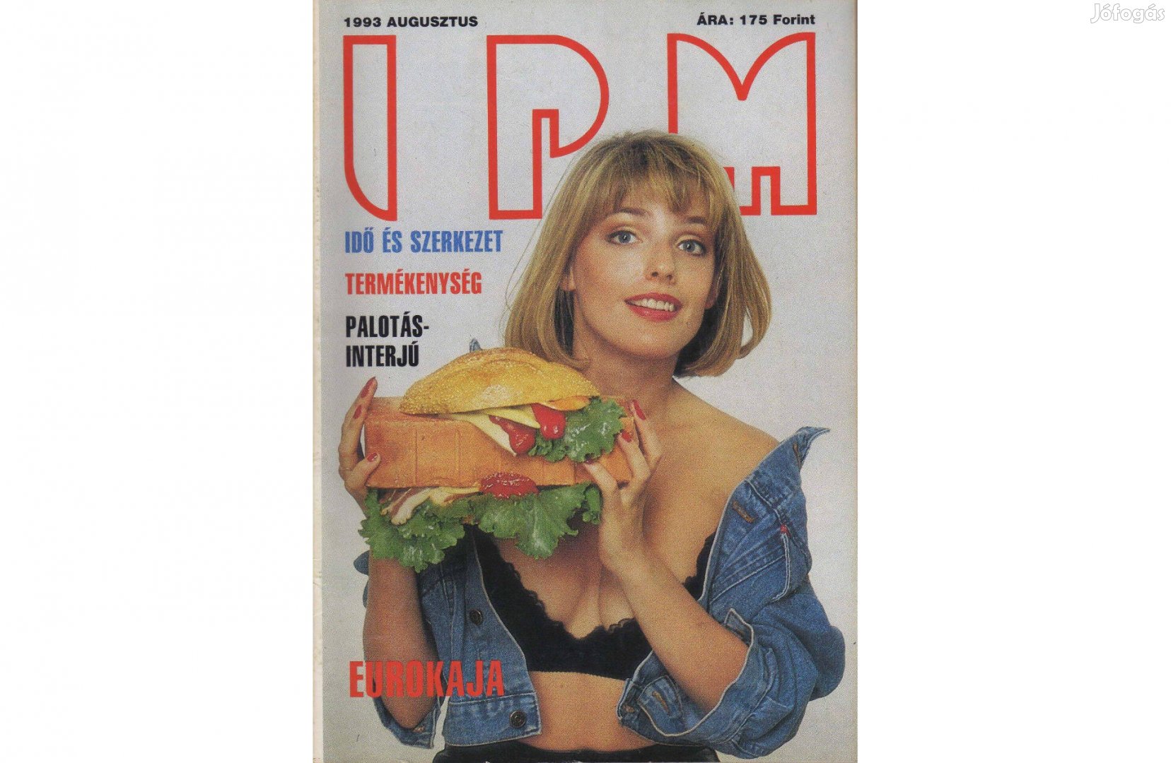 IPM 1993.08 újság