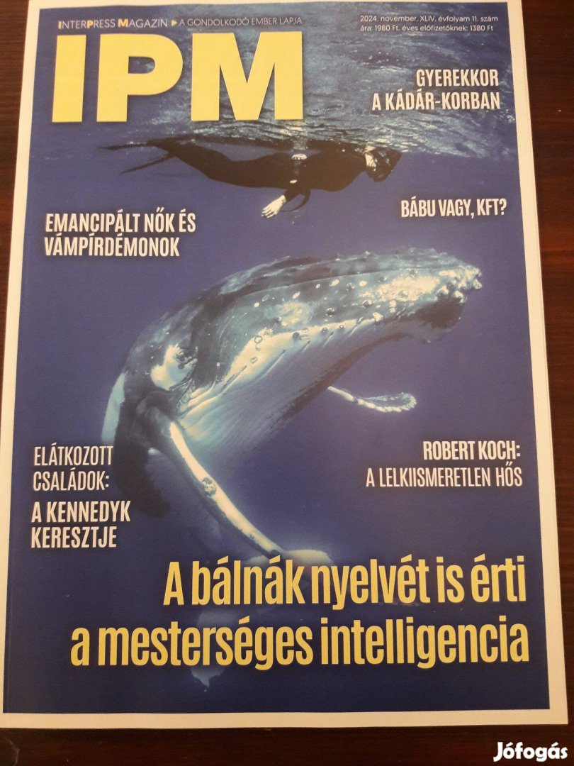 IPM magazin 2024. november újság