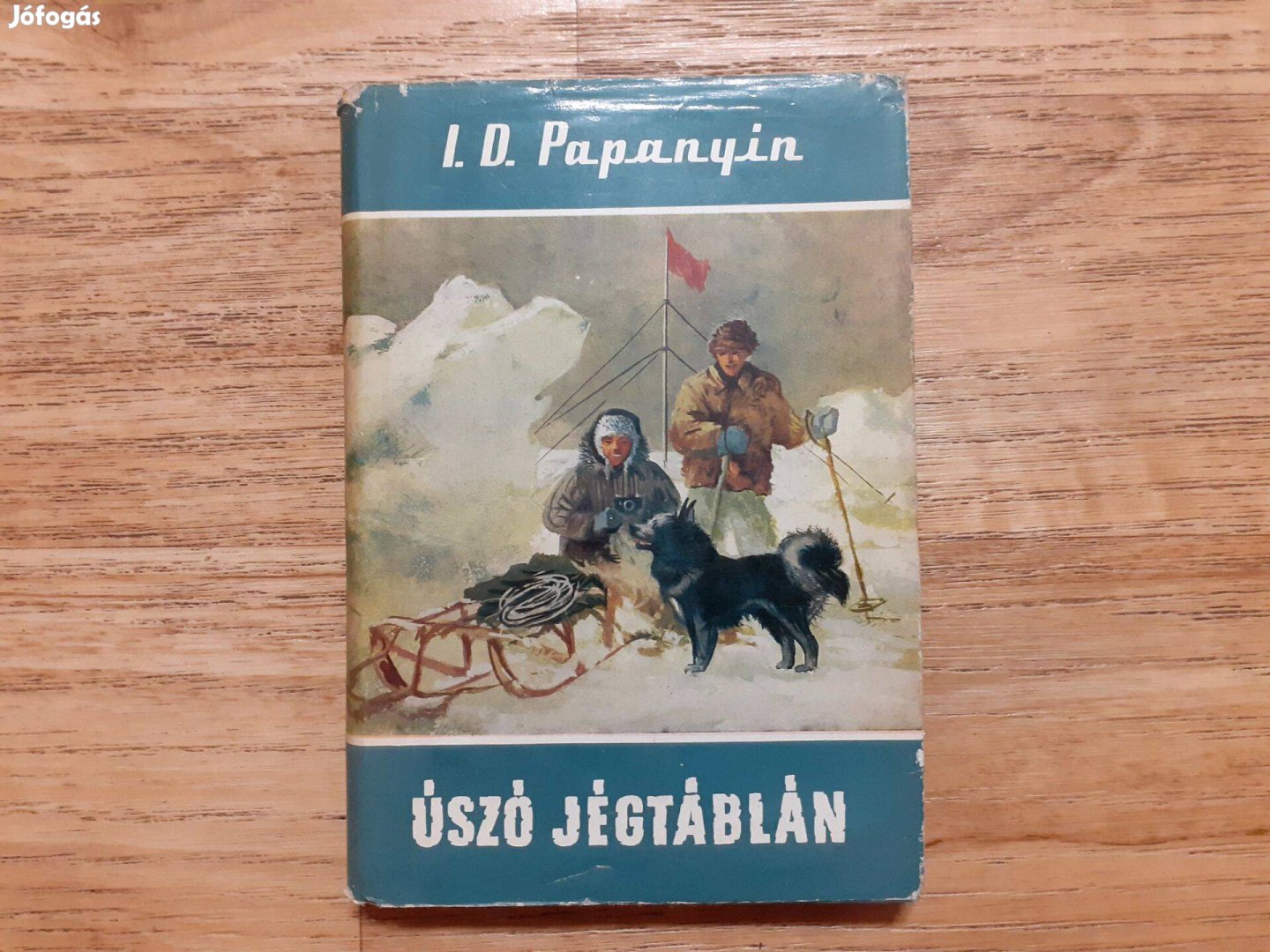 I. D. Papanyin: Úszó jégtáblán (Világjárók 17.)