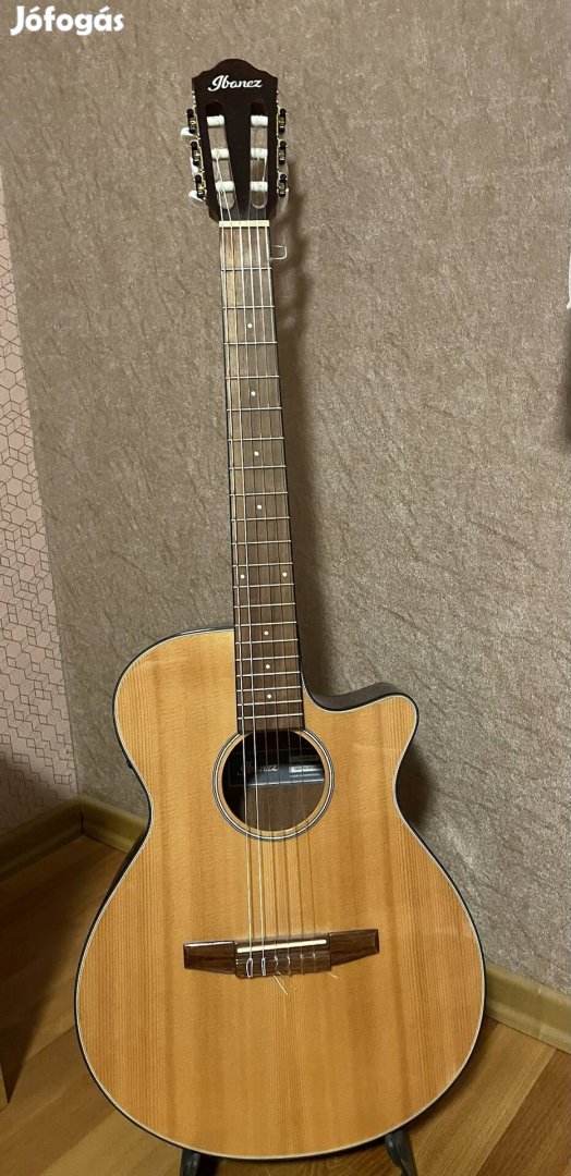 Ibanez AEG 50N NT