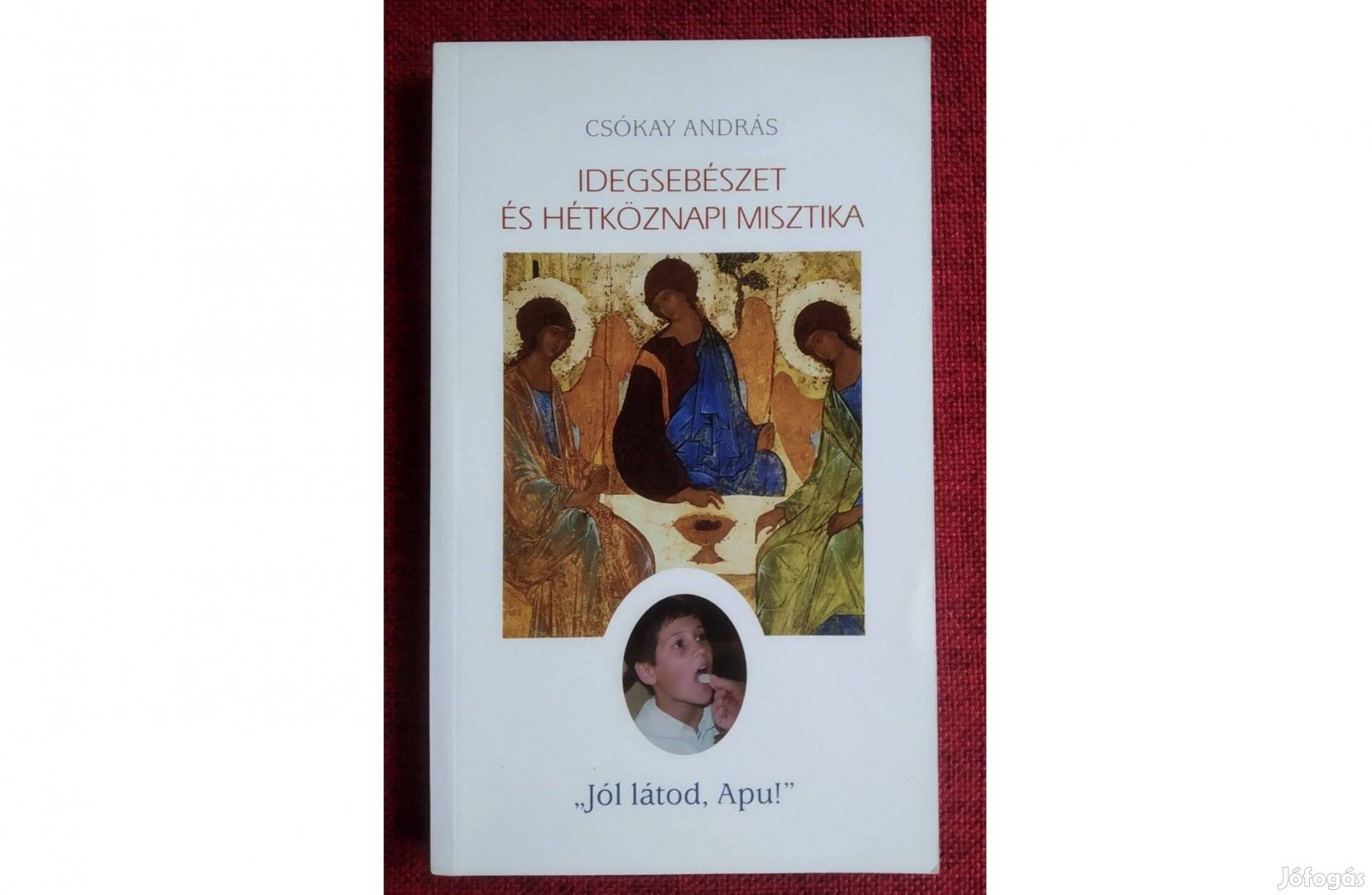 Idegsebészet és hétköznapi misztika Csókay András Szent