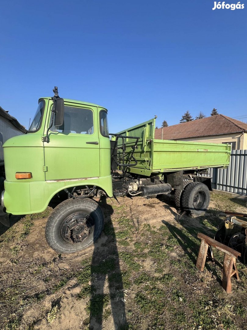 Ifa w50 terepes