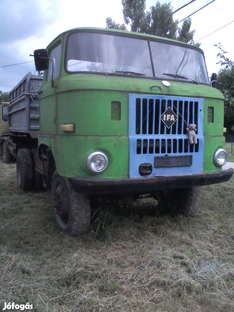 Ifa w50 terepes