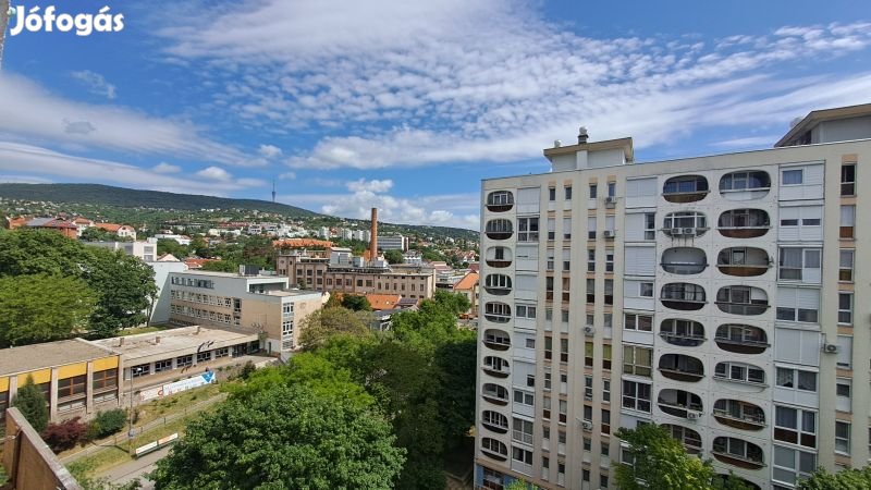 Ifjúság útján lakás eladó.