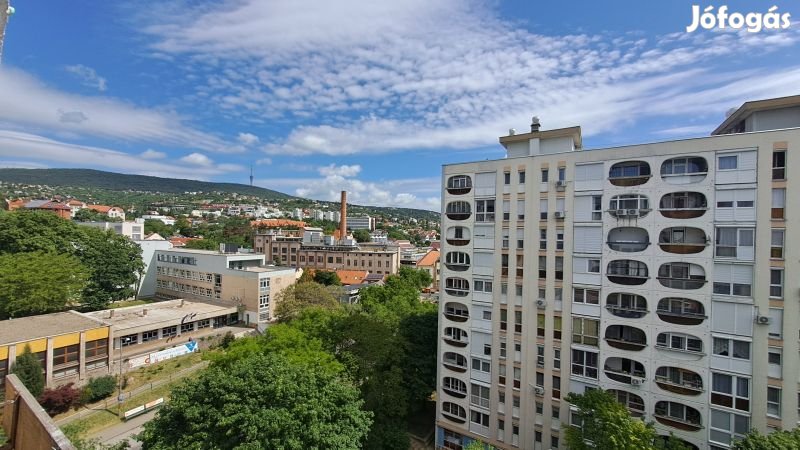 Ifjúság útján lakás eladó.