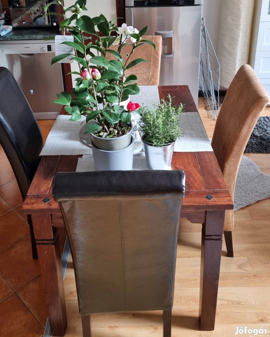 Igazi Tömör Fából készült étkezőasztal (80cm széles, 120cm hosszú)