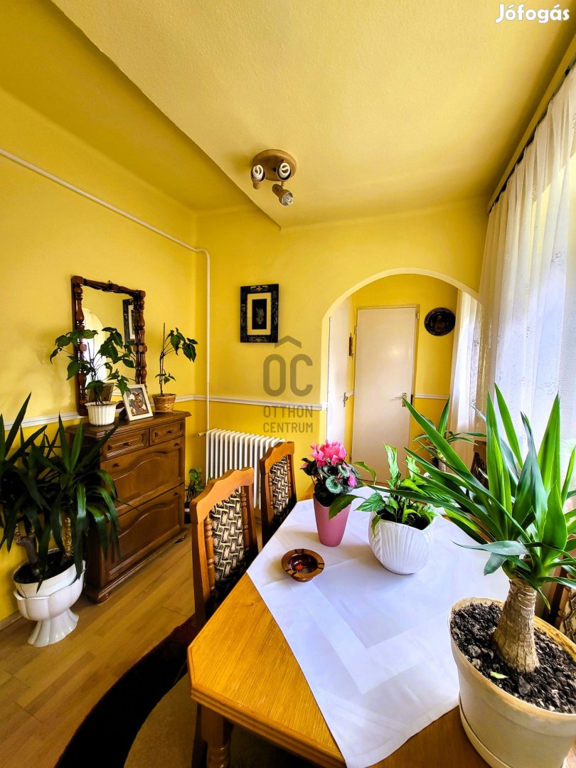 Igazi gyöngyszem Miskolc-Martinkertvárosban!