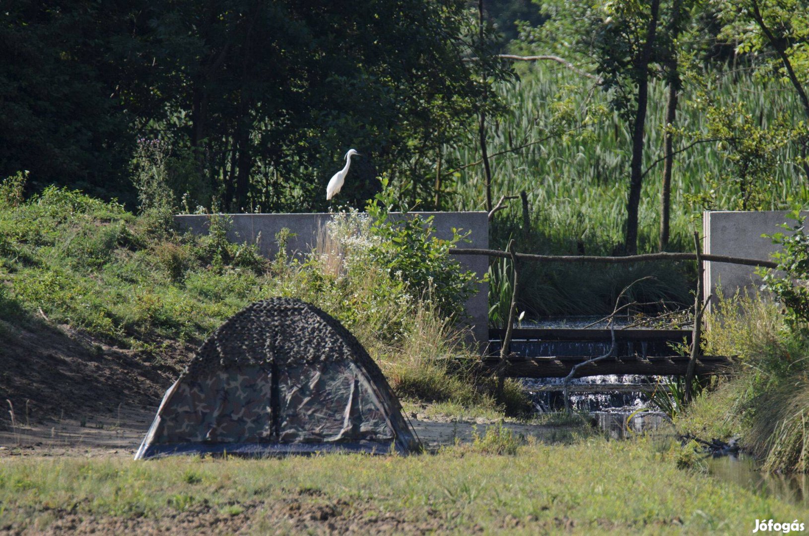 Iglu Super Mil-Tec Woodland fotós sátor