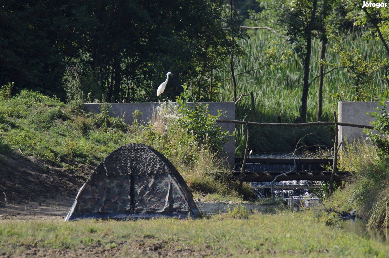 Iglu Super Mil-Tec Woodland fotós sátor