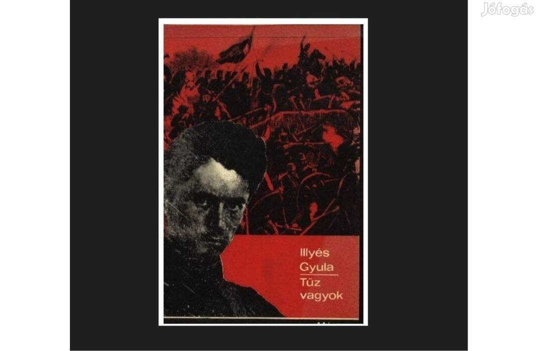 Illyés Gyula: Tűz vagyok (Petőfi Sándor élete)