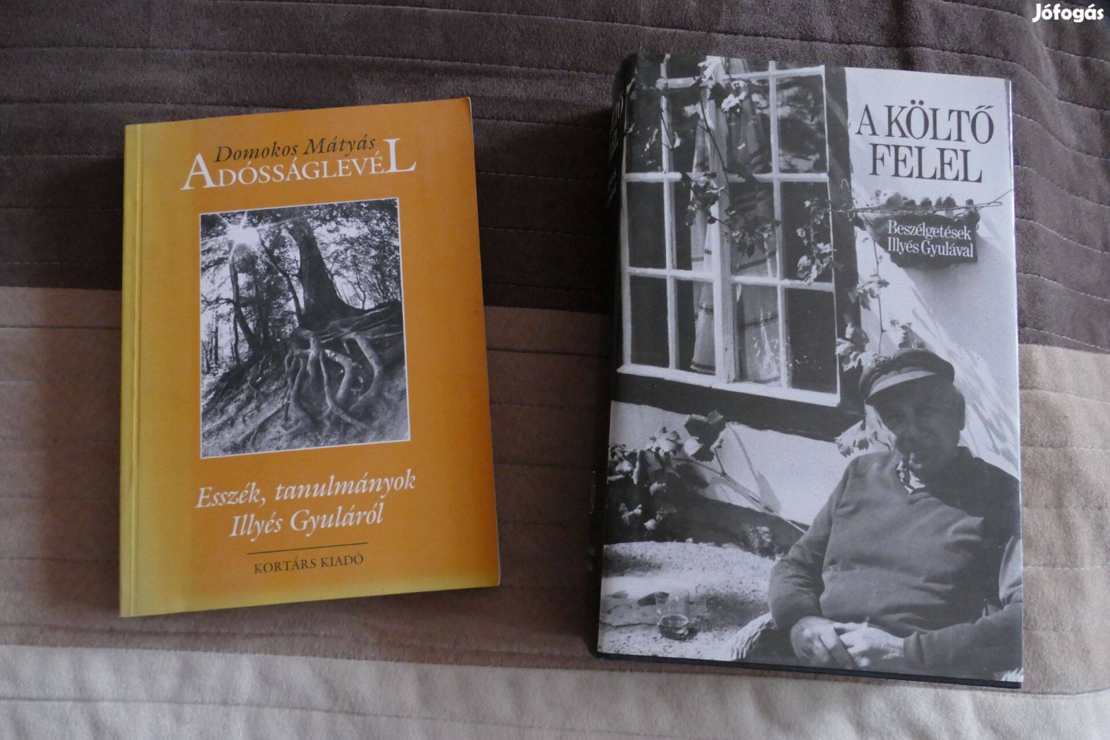 Illyés Gyula - tanulmányok beszélgetések két kötet egyben