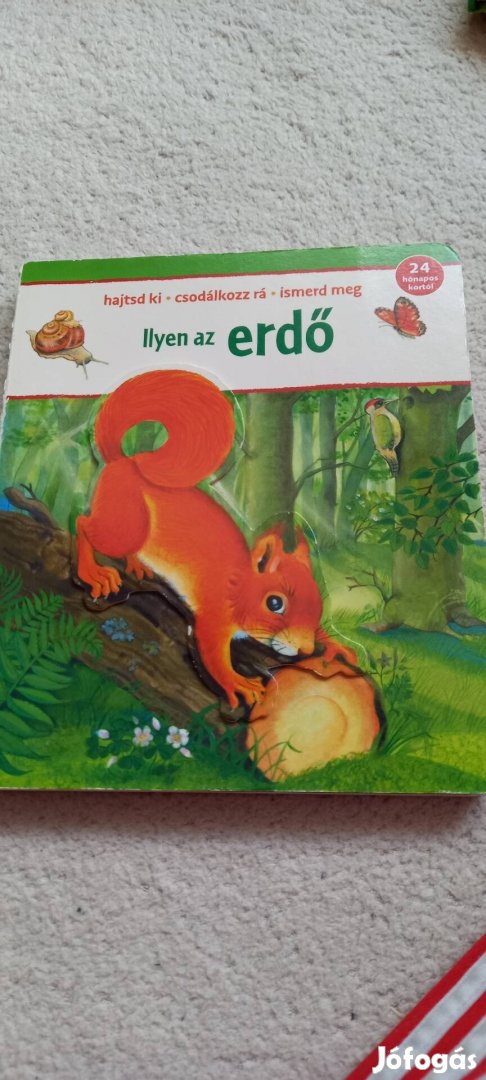 Ilyen az erdő gyerekkönyv