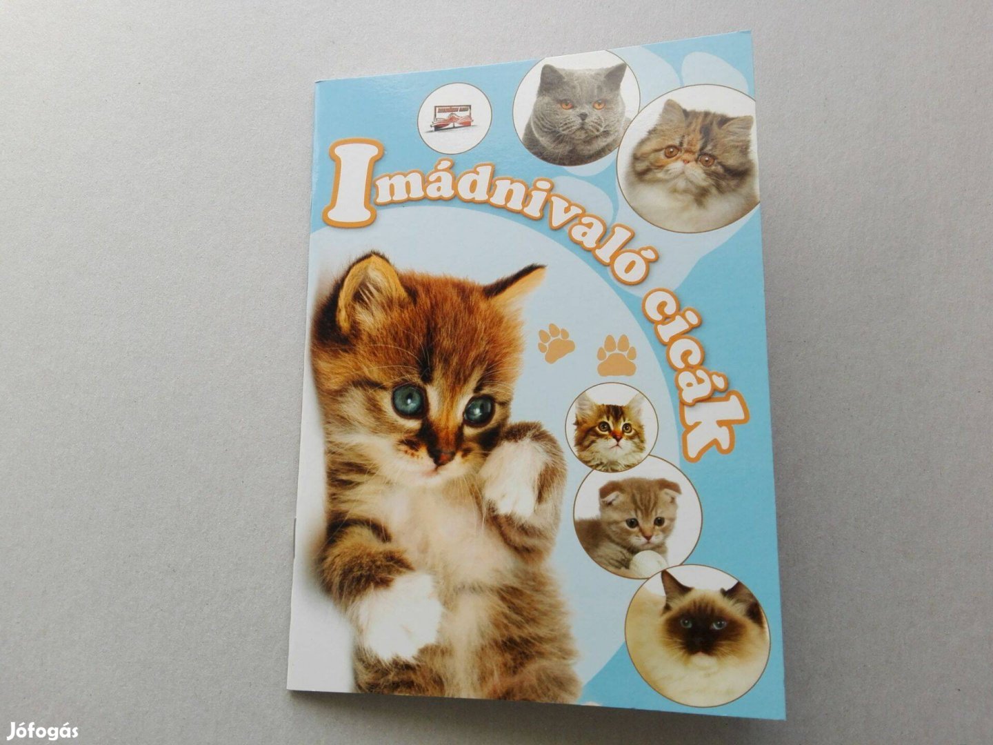 Imádnivaló cicák-Teljesen Új ismeretterjesztő füzet gyermekeknek eladó