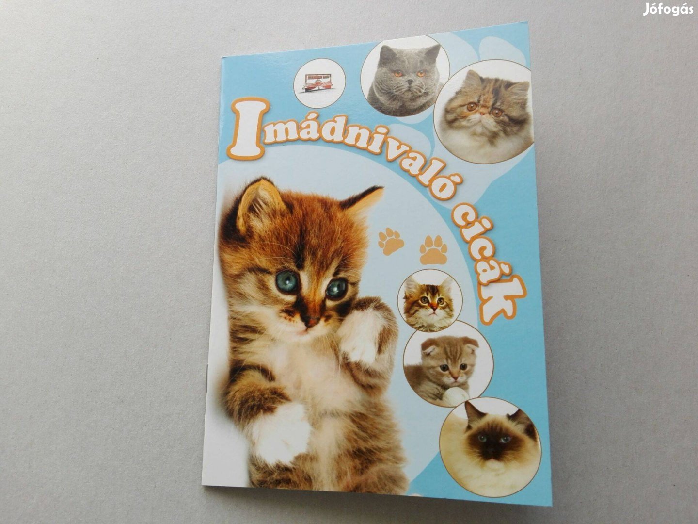 Imádnivaló cicák-Teljesen Új ismeretterjesztő füzet gyermekeknek eladó