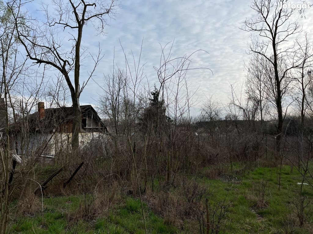 Inárcs, Erdősor utca, 4034 m2-es, telek