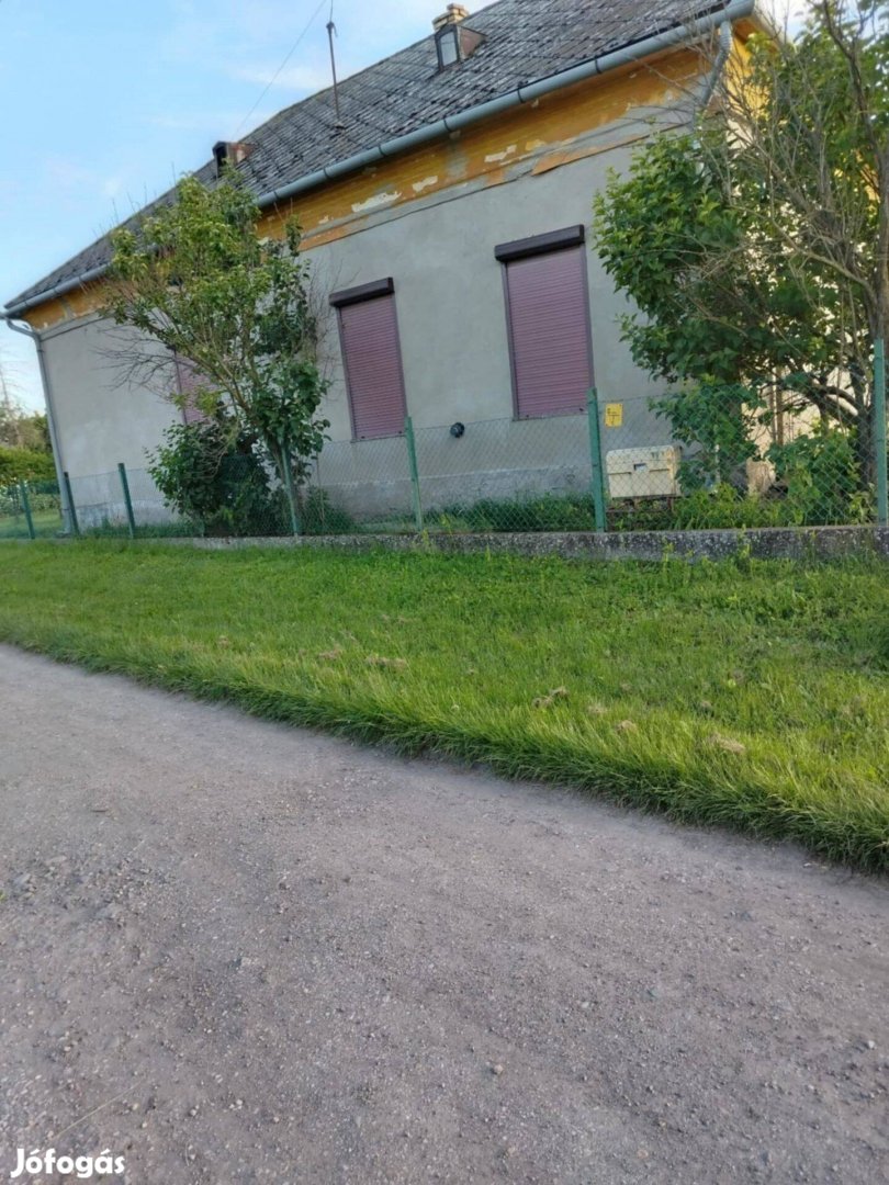 Ingatlanlehetőség a Tisza-tónál: két ház egyben, nagy telekkel!