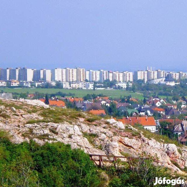 Ingyen lakhat Budán (és még pénzt is adunk)