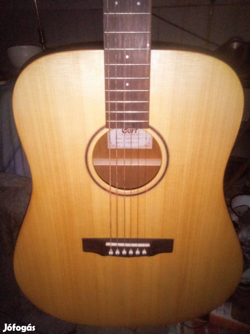 Inspired by Cort Elektro Acoustics gitár 