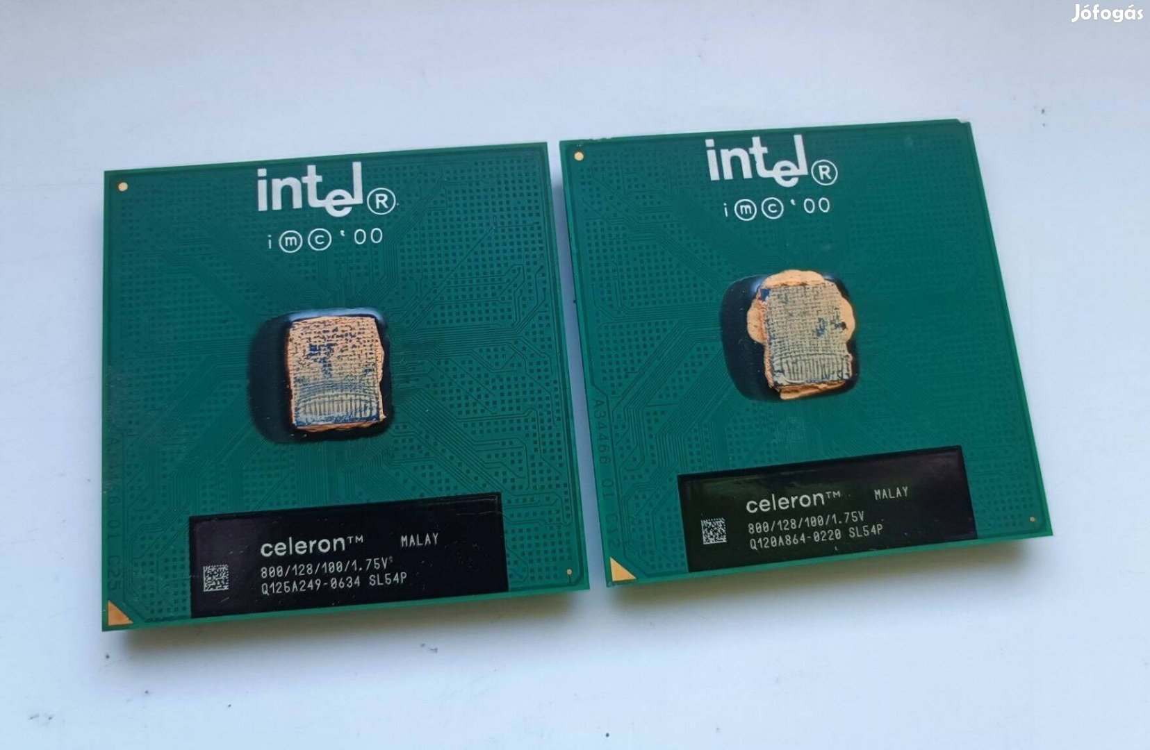 Intel Celeron 800 MHz CPU SL54P Coppermine
