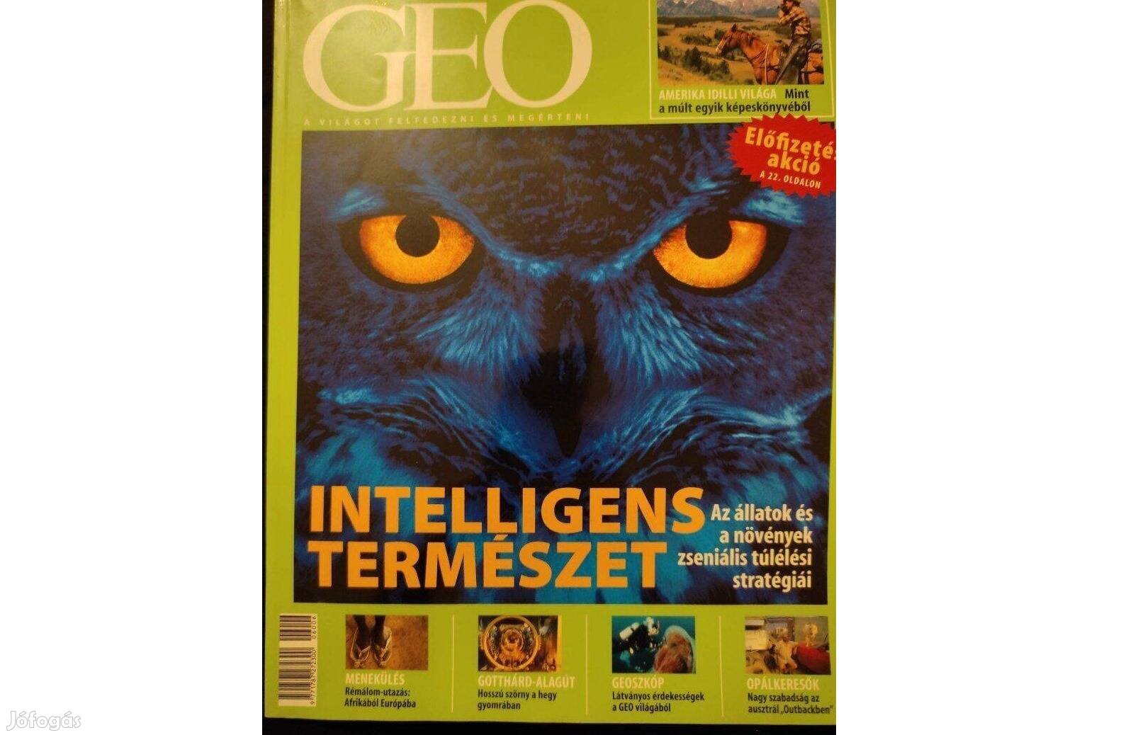 Intelligens természet GEO Magazin