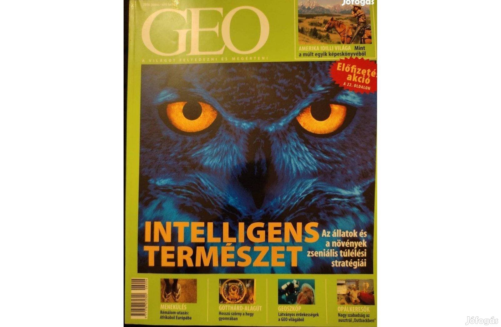 Intelligens természet GEO Magazin