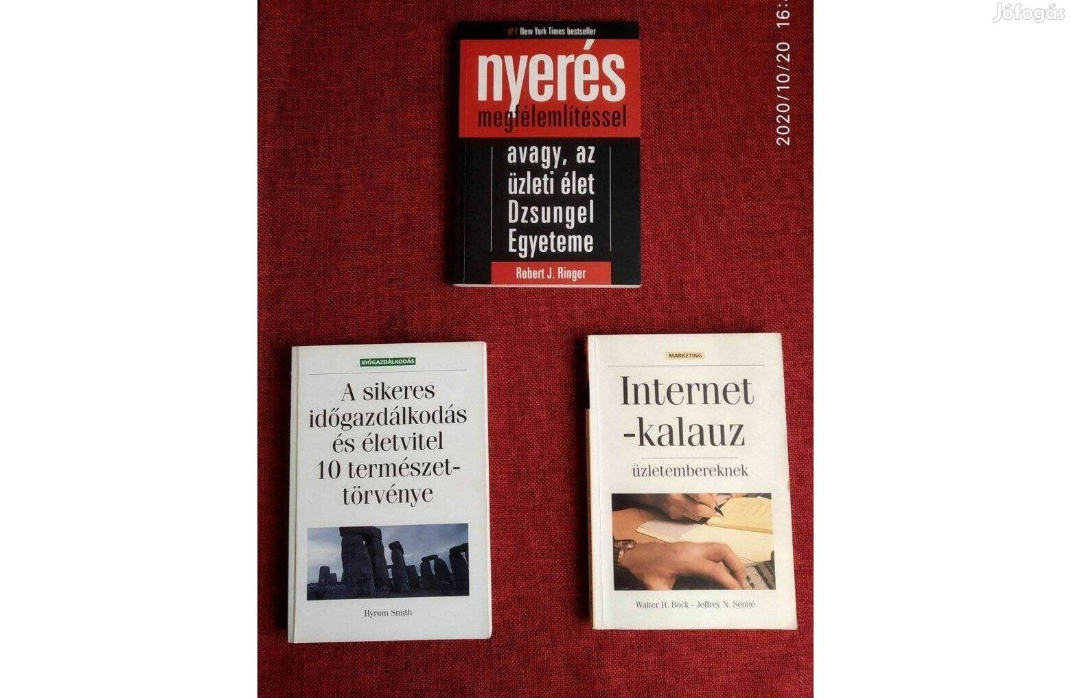 Internetkalauz üzletembereknek Bock Senné