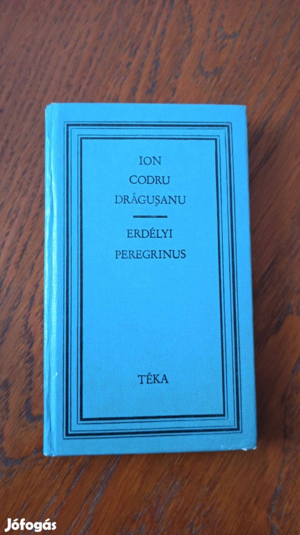 Ion Codru Drguanu - Erdélyi peregrinus