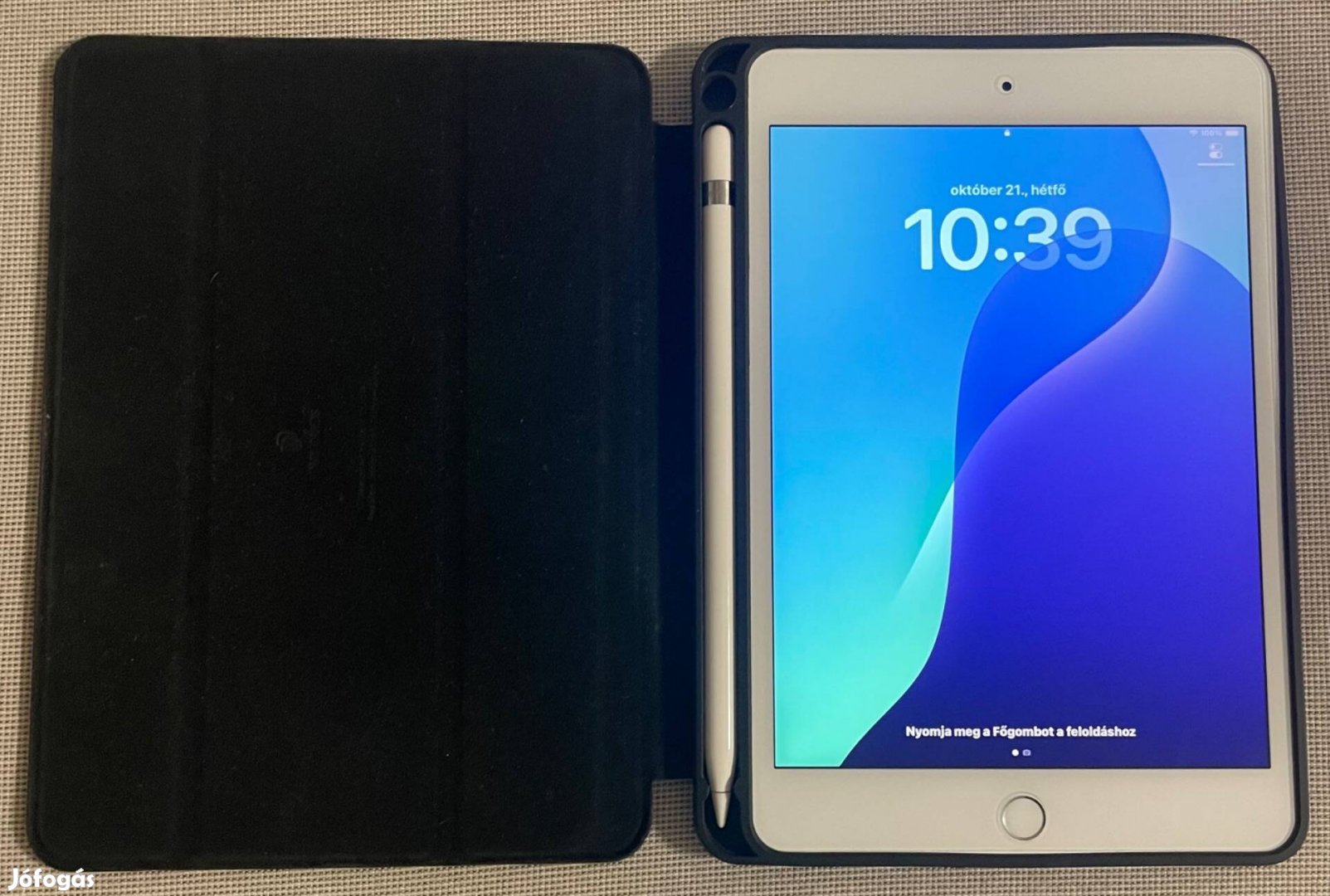 Ipad mini 5 tablet apple pencil