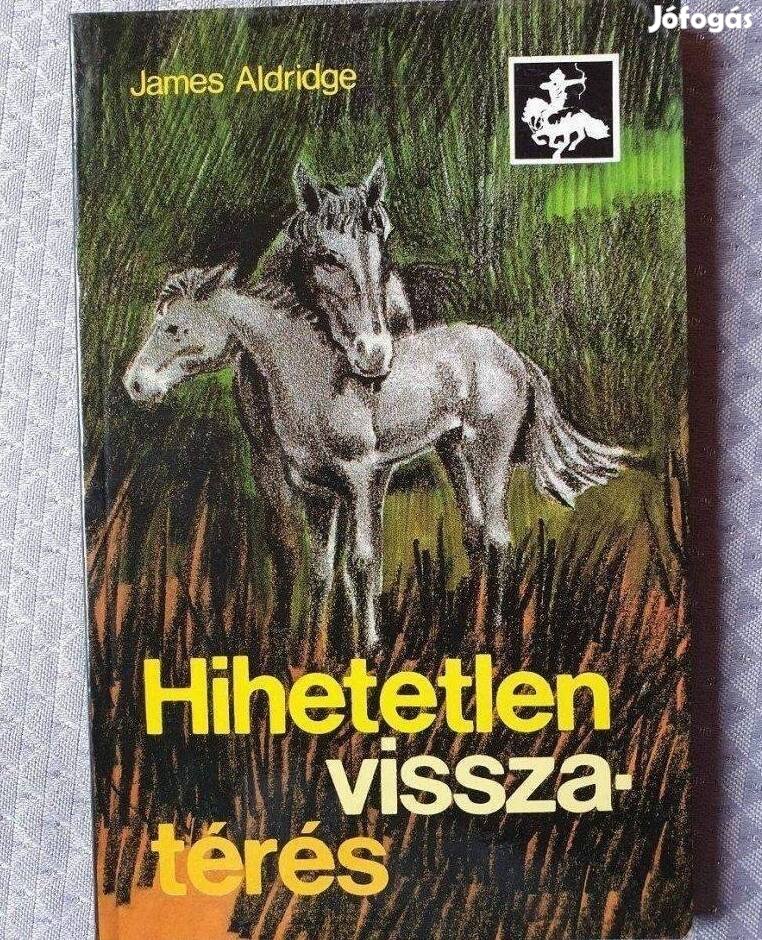 Irtelen visszatérés 1989 kalandregény