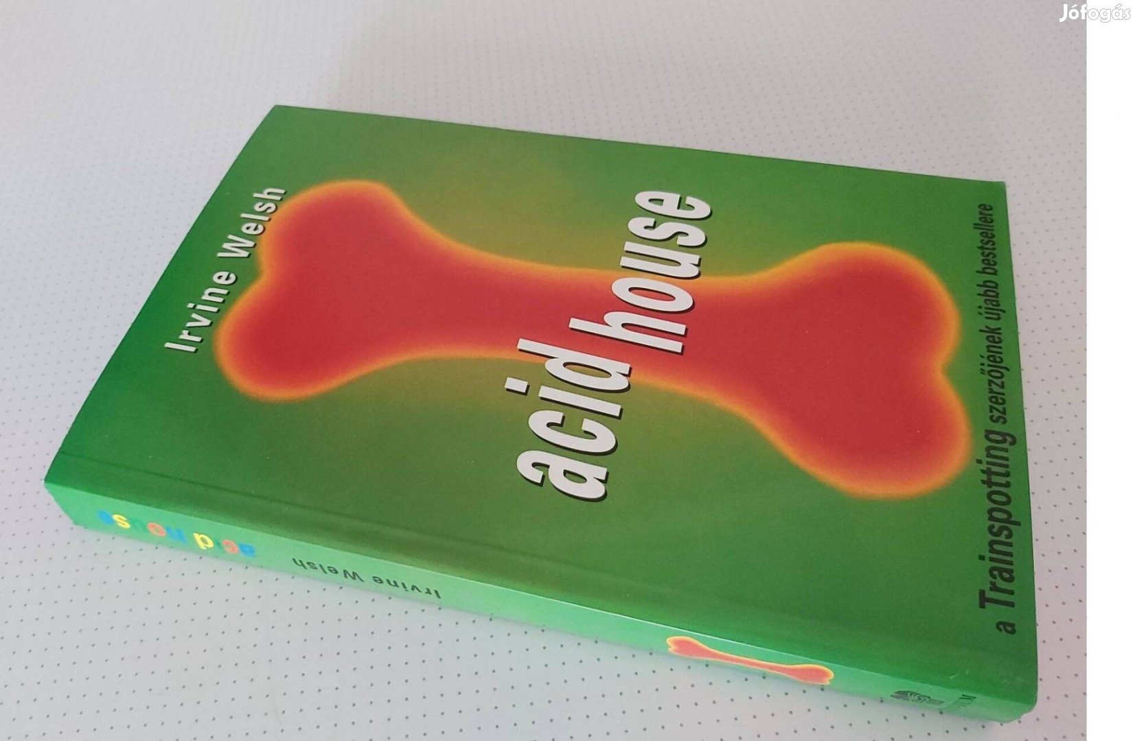 Irvine Welsh Acid House 22 novellából álló, nyersen humoros