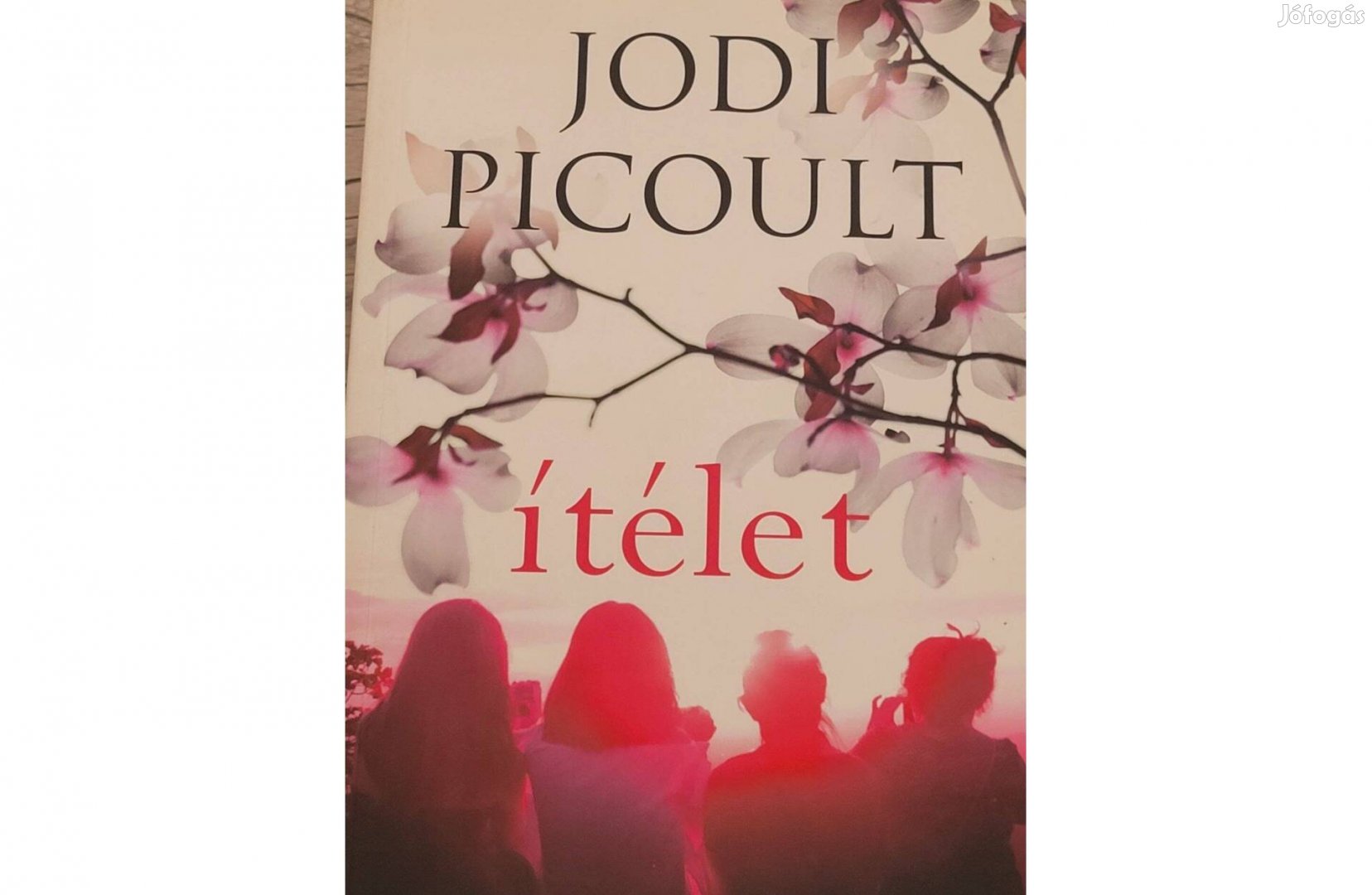 Ítélet Jodi Picoult