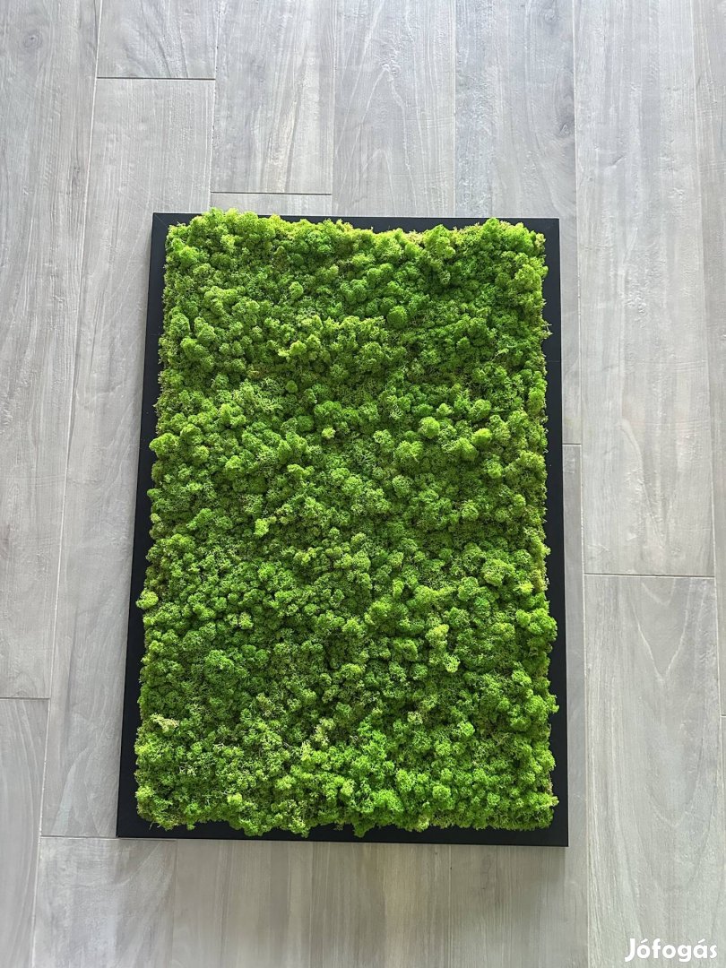 Izlandi zuzmó, moha kép 60x90 cm, fekete