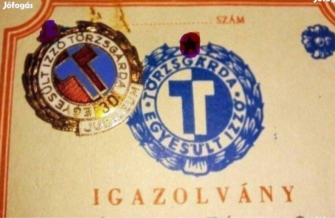 Izzó törzsgárda jelvények