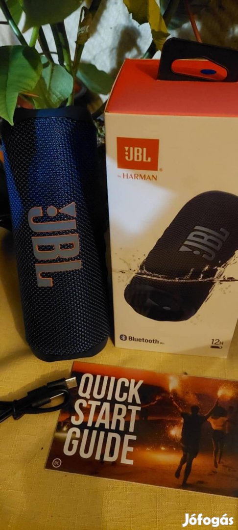 JBL flip 6.   