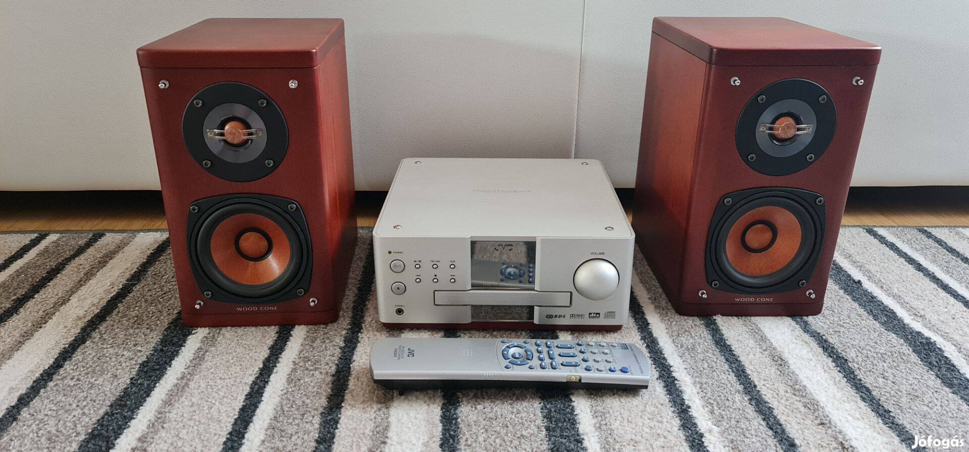 JVC EX-A5 Wood Cone Hifi