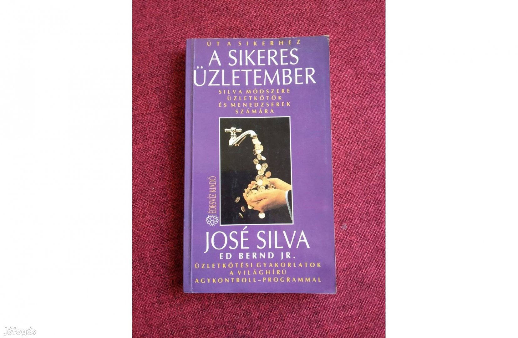 J.Silva -E.Bernd Jr.: A sikeres üzletember