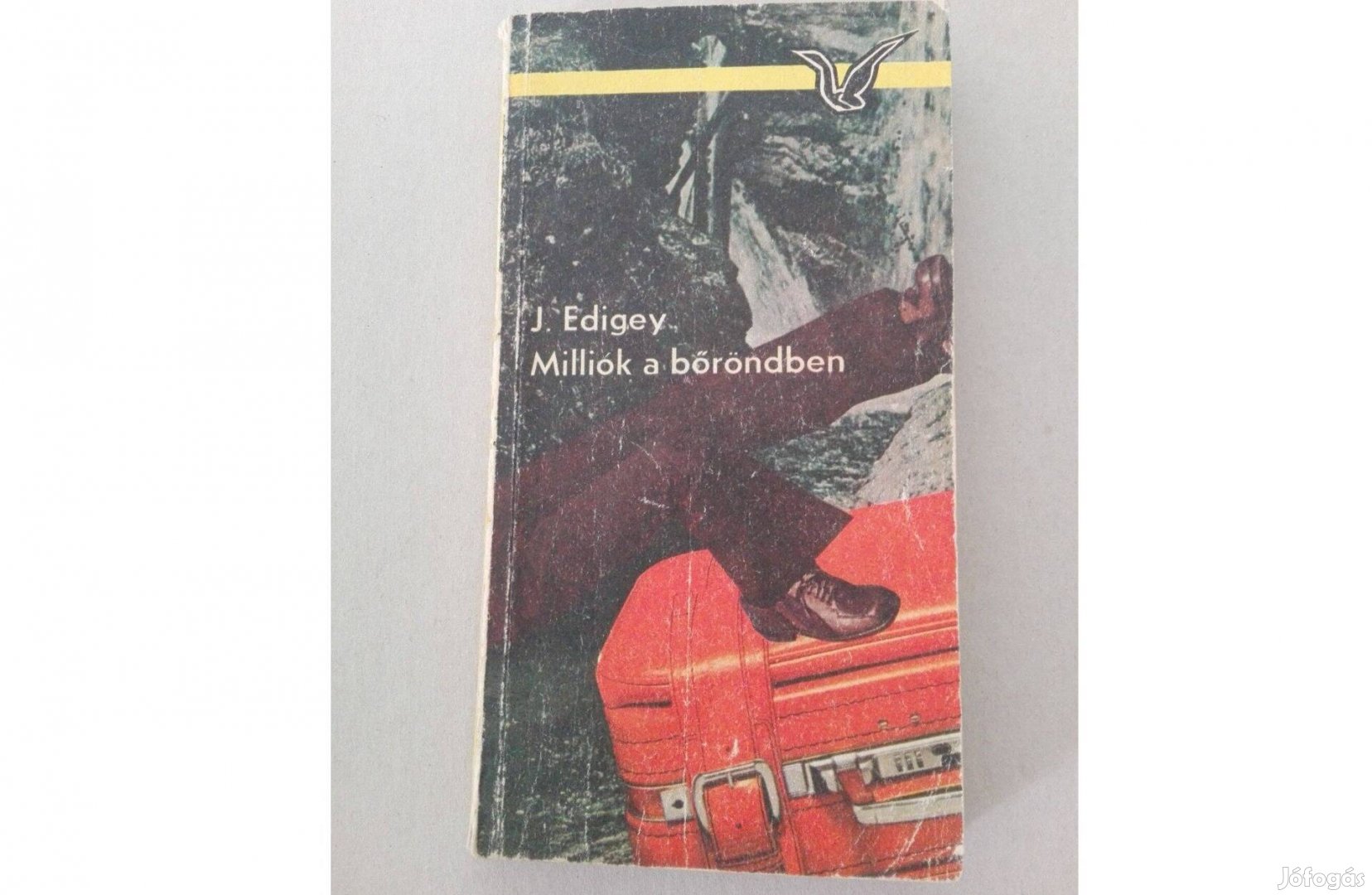 J. Edigey Milliók a bőröndben c.könyve eladó!