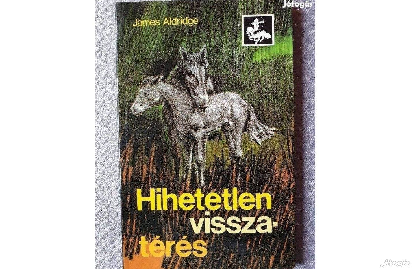 James Aldridge: Hirtelen visszatérés 1989 kalandregény