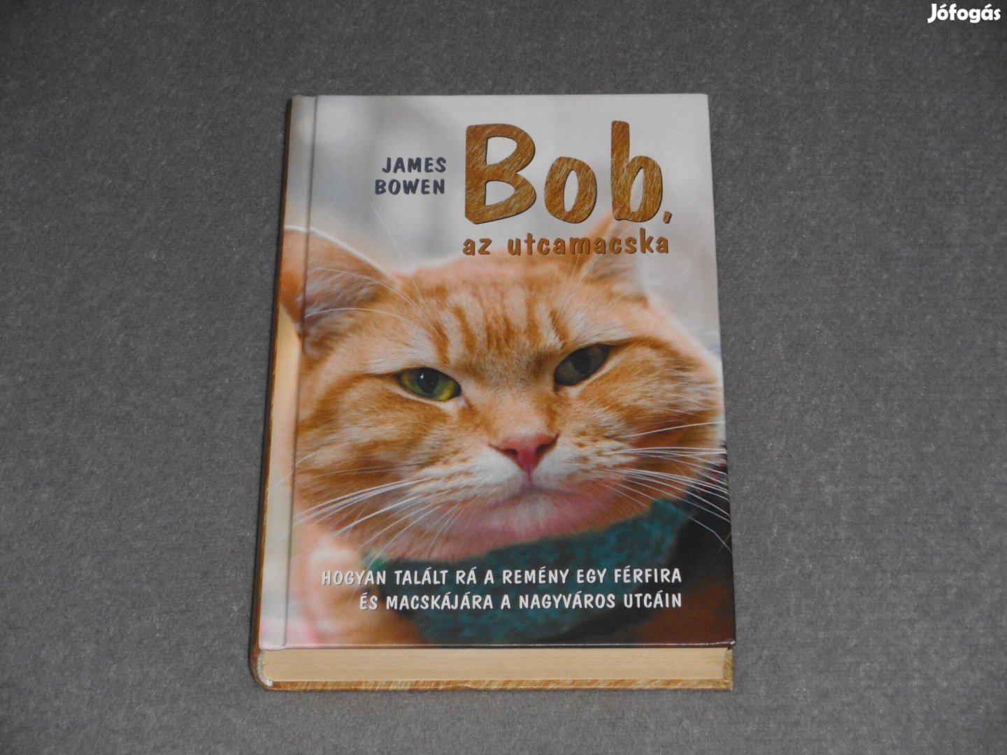 James Bowen - Bob, az utcamacska