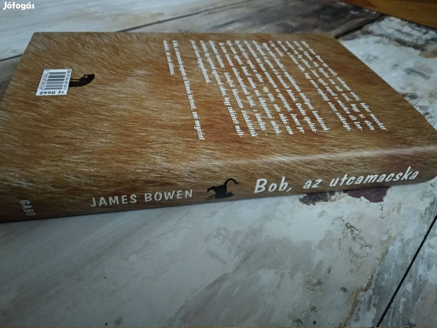 James Bowen - Bob az utcamacska