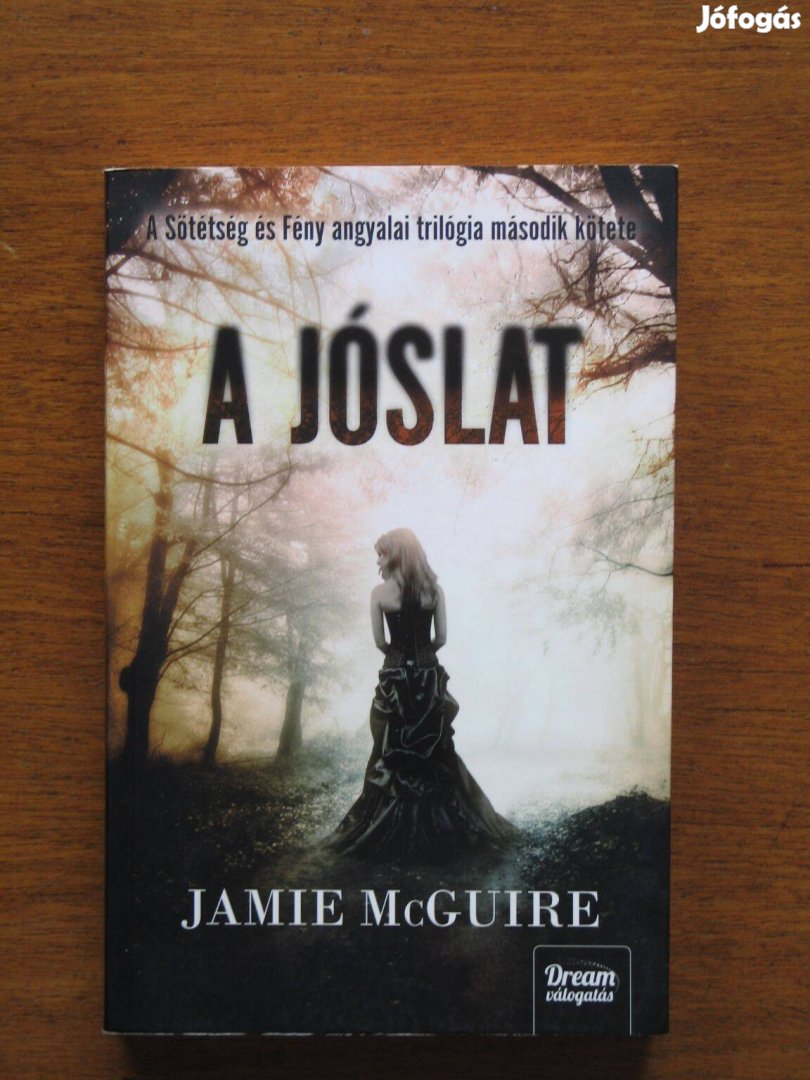 Jamie Mcguire A Jóslat / Sötétség és fény angyalai