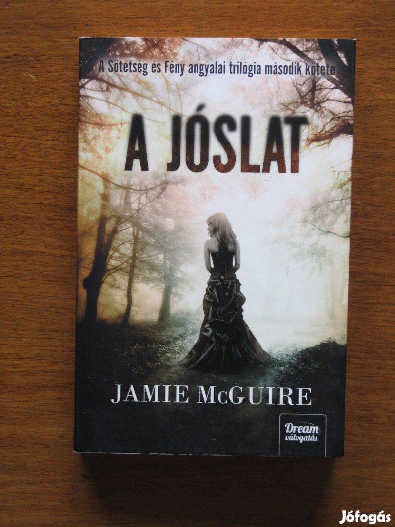 Jamie Mcguire A jóslat / Sötétség és fény angyalai 2. kötete