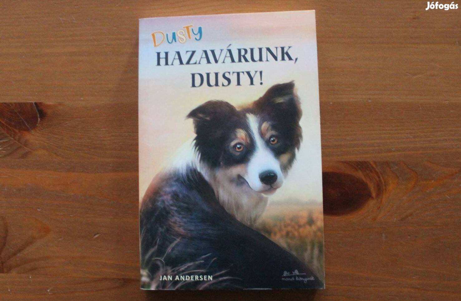 Jan Andersen - Hazavárunk, Dusty!