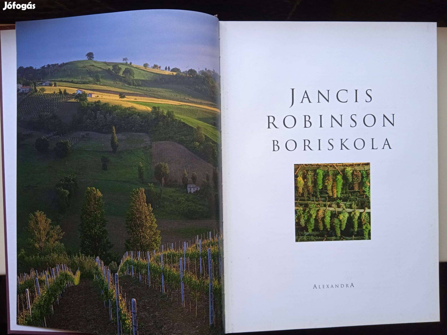 Jancis Robinson - Boriskola című könyv , jó állapotú